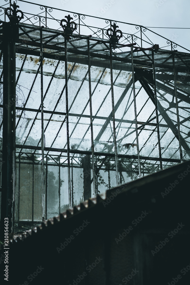 Obraz premium Garden