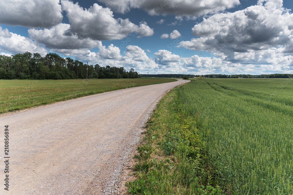 Rural gravel road.