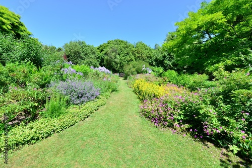 An English country garden in summertime.  