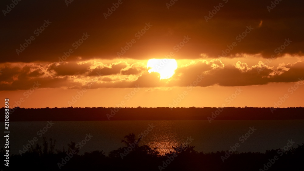 Fototapeta premium IntFrame 2018