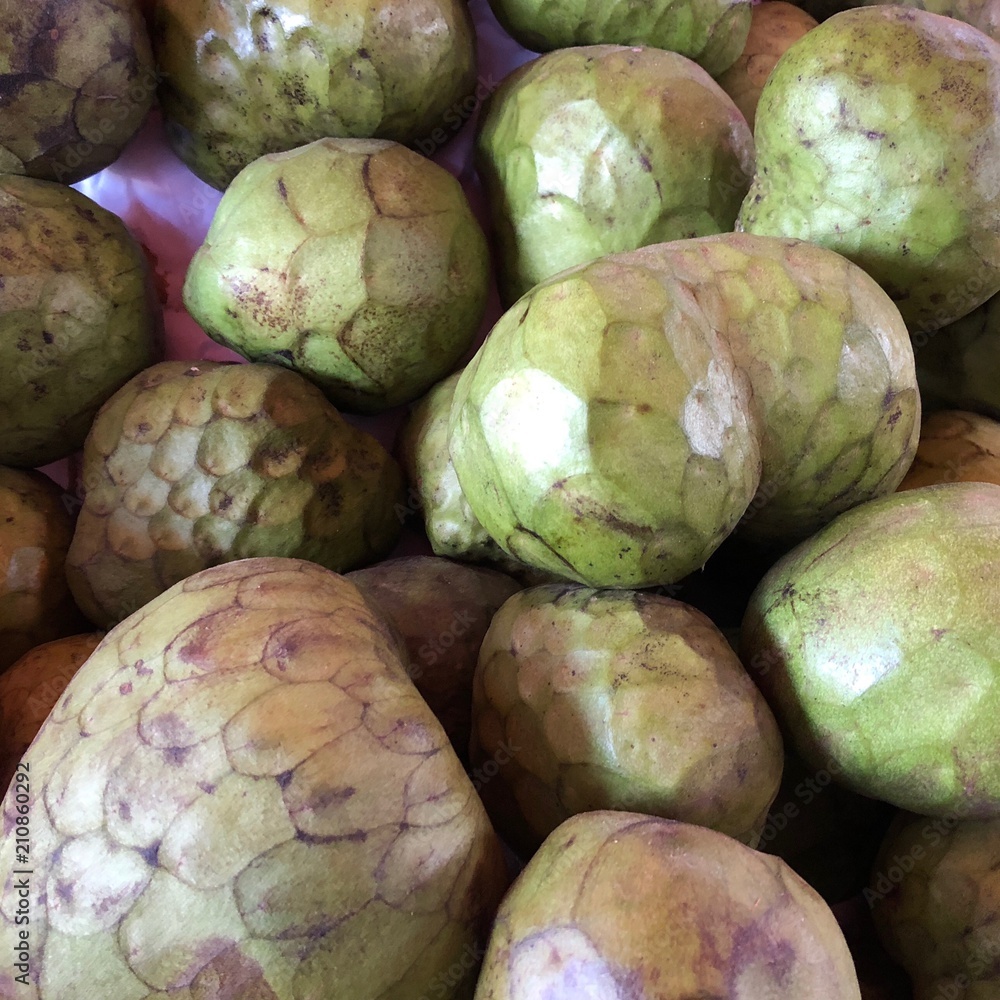 Cherimoya fruit is also know as custard apple from the Annona cherimola tree. Cherimoya fruit is also know as custard apple from the Annona cherimola tree.
