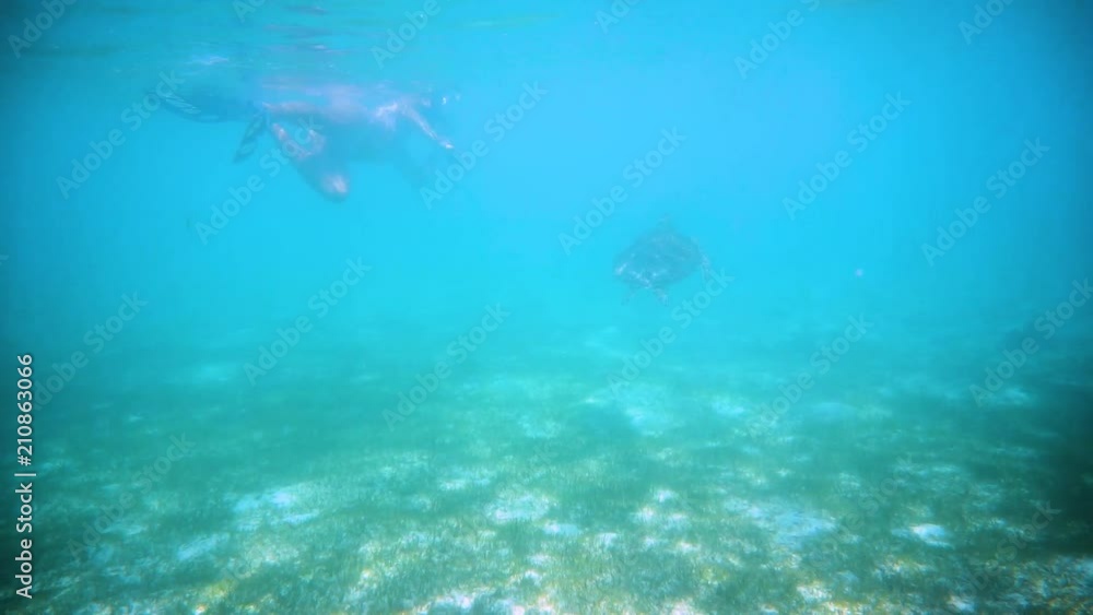 Mädchen mit Schnorchelmaske hinter Schildkröte in offenem Meer Mädchen mit Schnorchelmaske hinter Schildkröte in offenem Meer