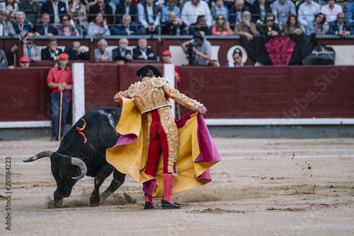 Man bullfighter dressed in bullfighting costume.