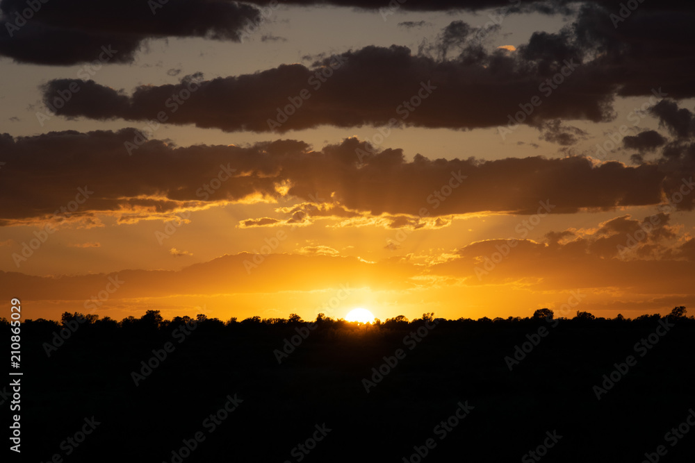 Arizona Sunset with Trees in Silhouette