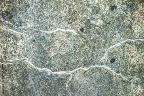 surface of concrete gray wall of a military fortress in cracks covered with moss