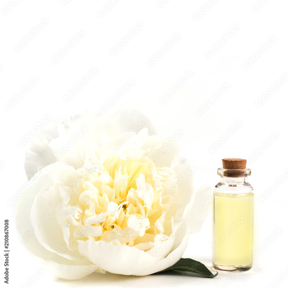 White peony flower and bottle with oil or essence on white. Close up. White peony flower and bottle with oil or essence on white. Close up.