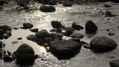 Shallow stream in front of country village