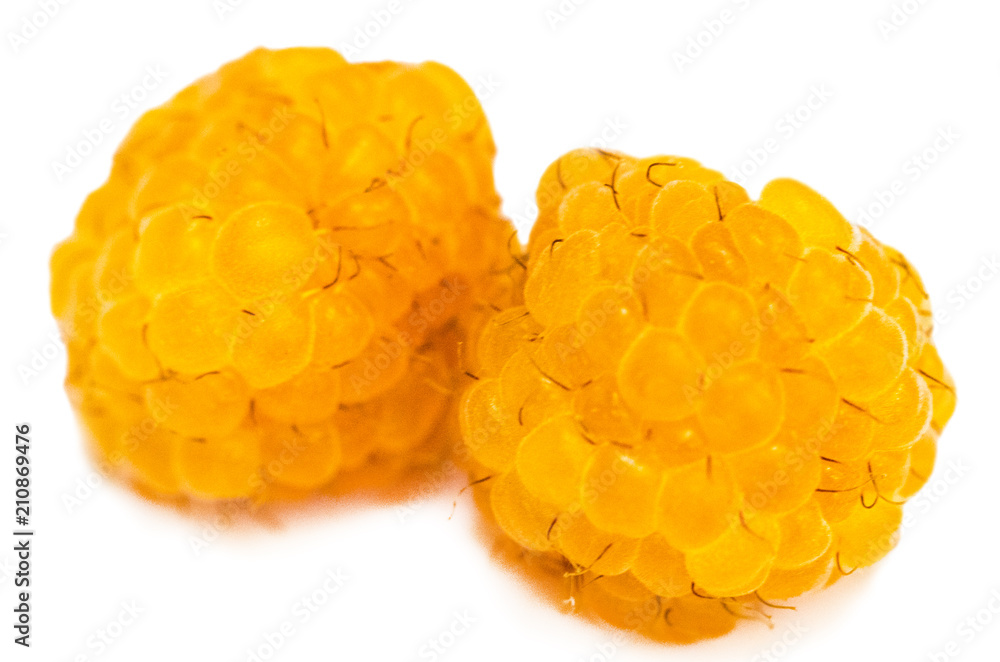 yellow raspberries with leaf isolated on white background macro yellow raspberries with leaf isolated on white background macro