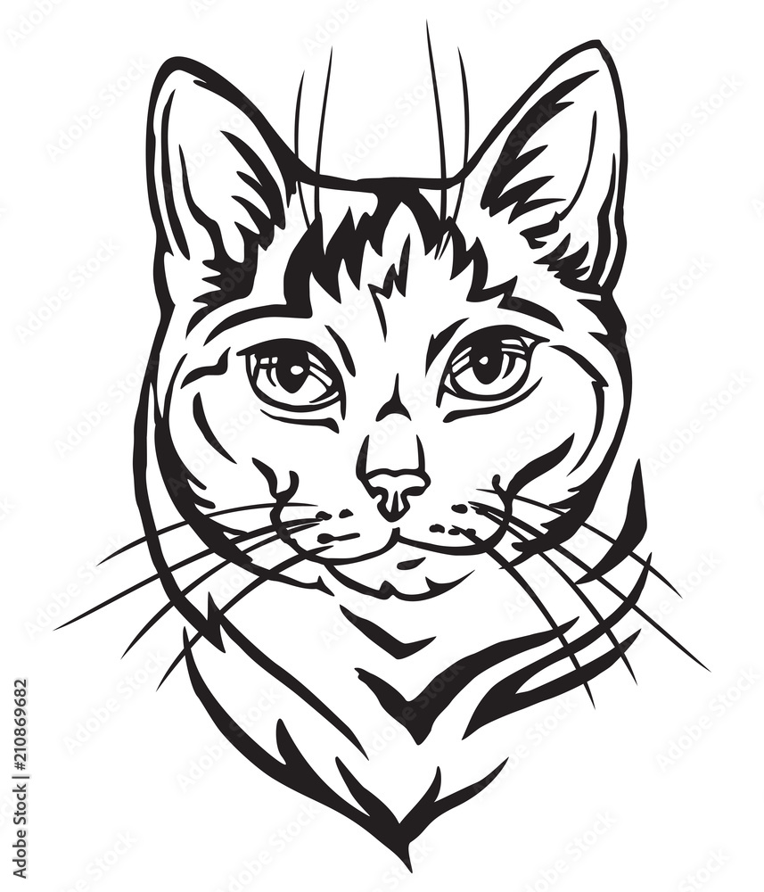 Decorative portrait of Mongrel Cat vector illustration