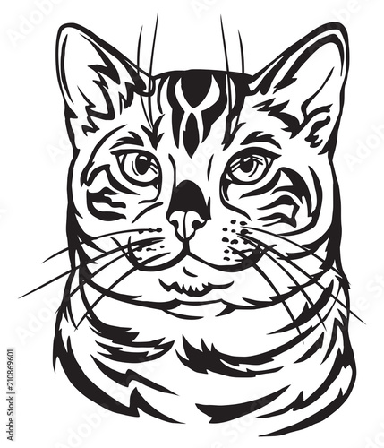 Decorative portrait of Bengal Cat vector illustration