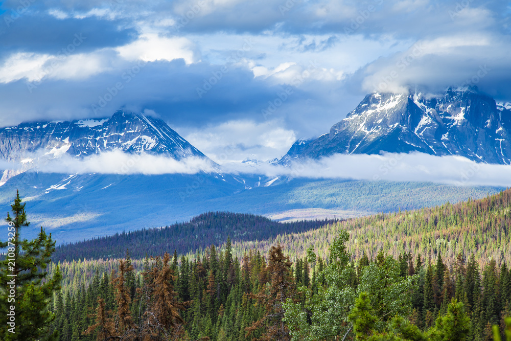 Fototapeta premium rocky mountains jasper