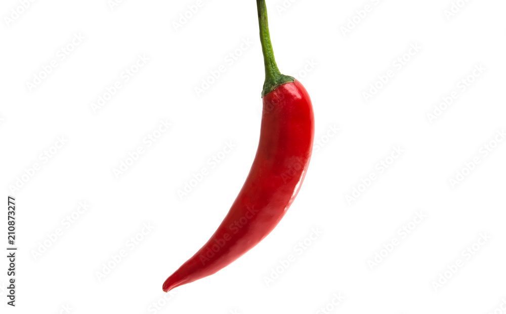 chili pepper isolated chili pepper isolated