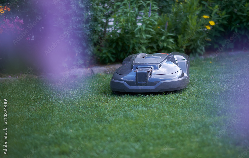 The lawn is cut by a robot