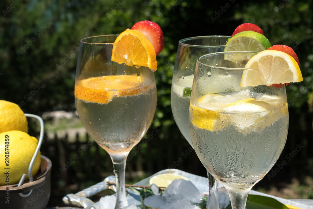 Fresh Fruit in Sparkling Water - Refreshing summer beverage