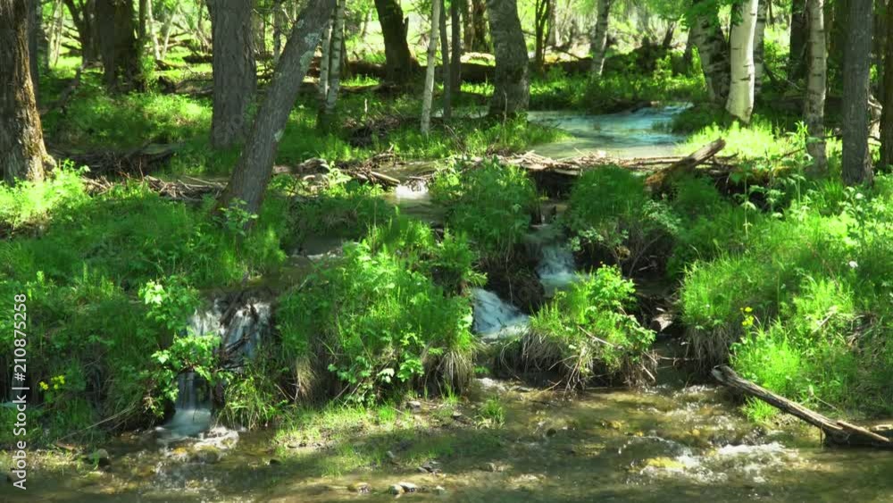 Beautiful mountain stream. Clear water. Slow-motion shot. Beautiful mountain stream. Clear water. Slow-motion shot.