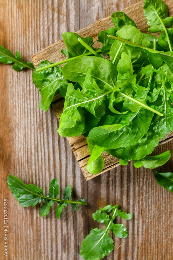 Fresh green home arugula leaves, rucola. Salad. Fresh green home arugula leaves, rucola. Salad.