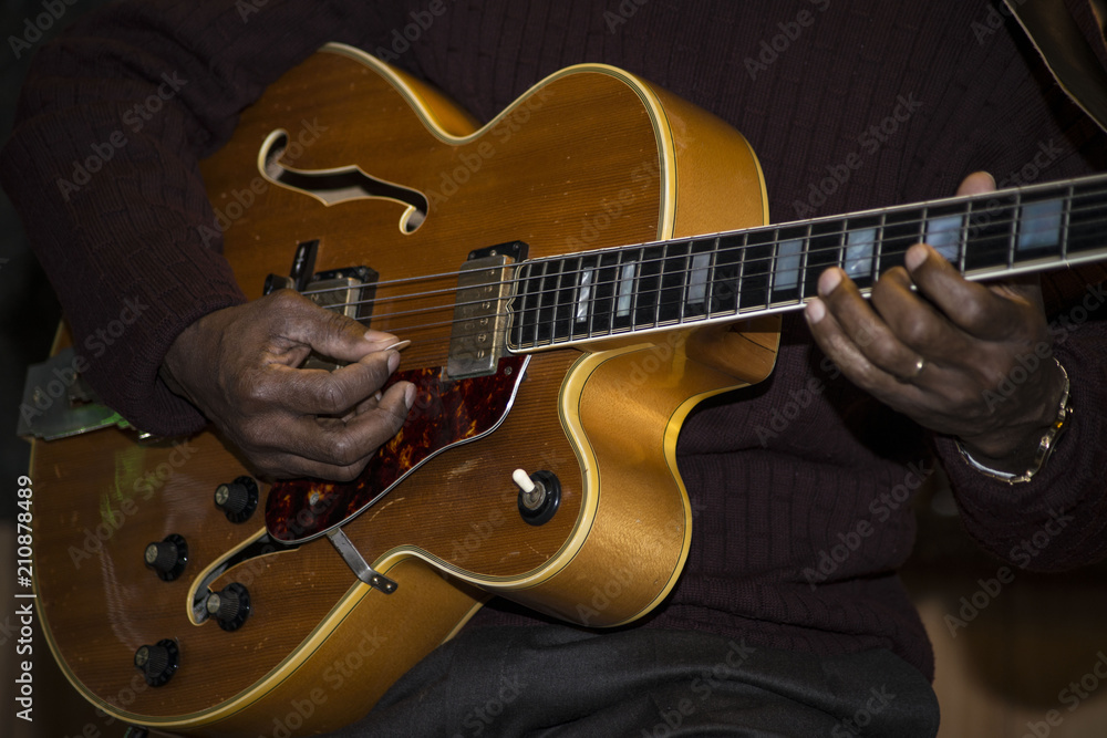 Fototapeta premium RossGuitar