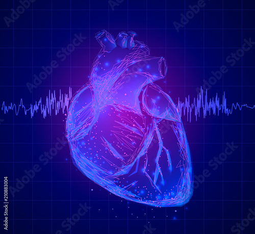 Heart. Abstract 3d vector human heart isolated on blue. Anatomy, cardiology medicine, organ health, medical science, life healthcare, cardio illness concept illustration or background.