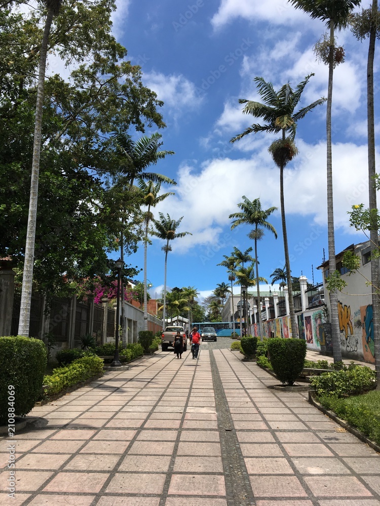 Obraz premium A street in San Jose, capital of Costa Rica