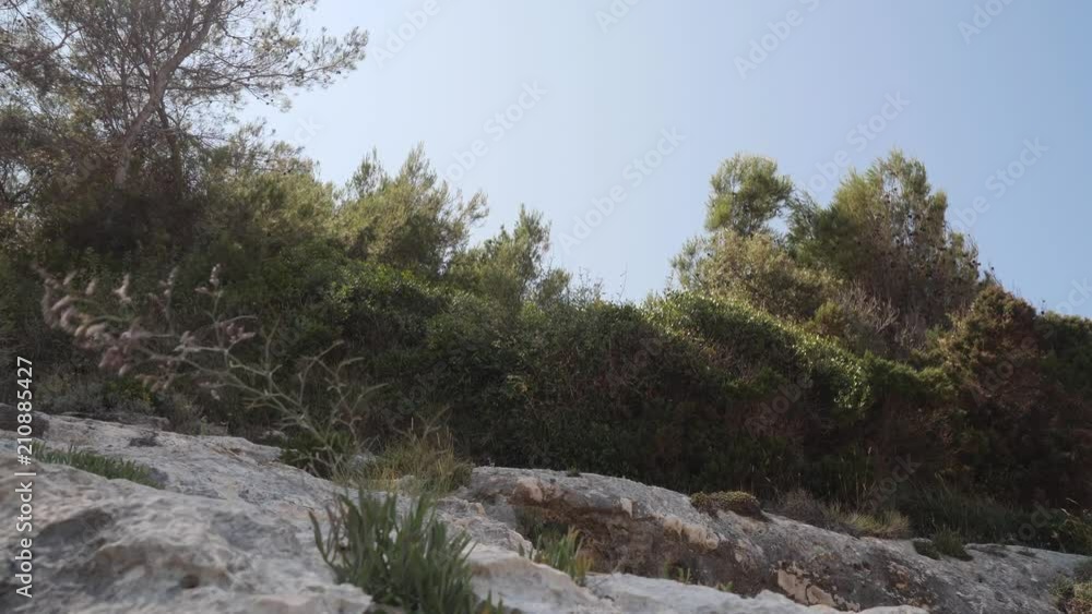 Close up of wild beach in the Gargano, Puglia, Italy. Close up of wild beach in the Gargano, Puglia, Italy.