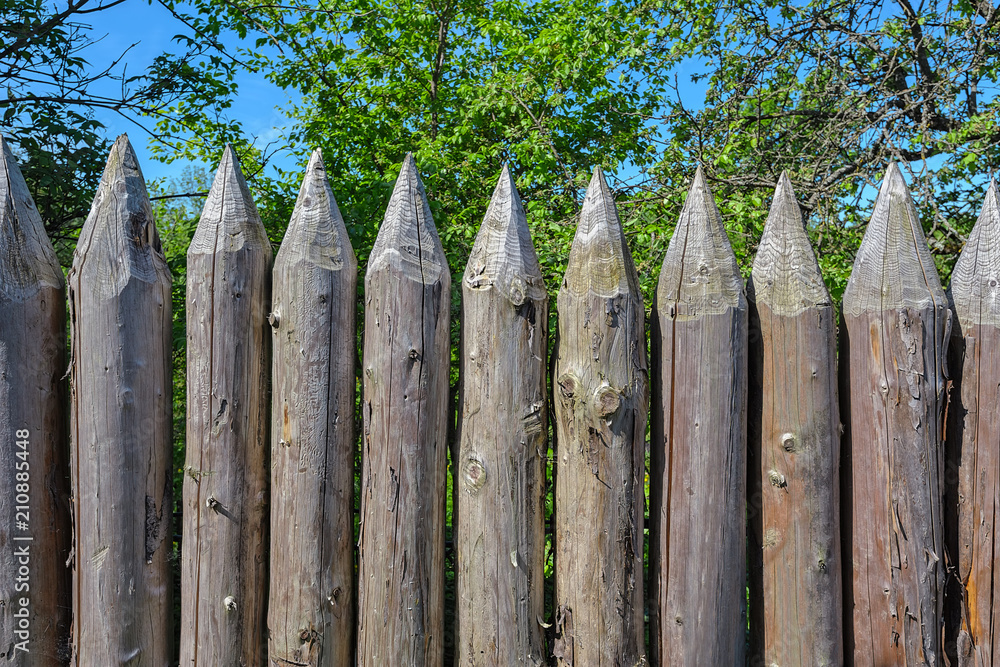 Wooden palisade of the protective fence.