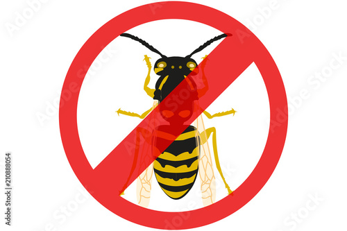 Exterminar plaga de abejas y avispas. 