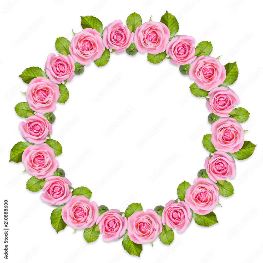 Obraz premium Rond frame Wreath made of pink roses isolated on white background. Gentle circular floral ornament. Flower mandala