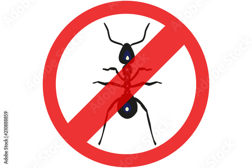 Exterminar plaga de hormigas.