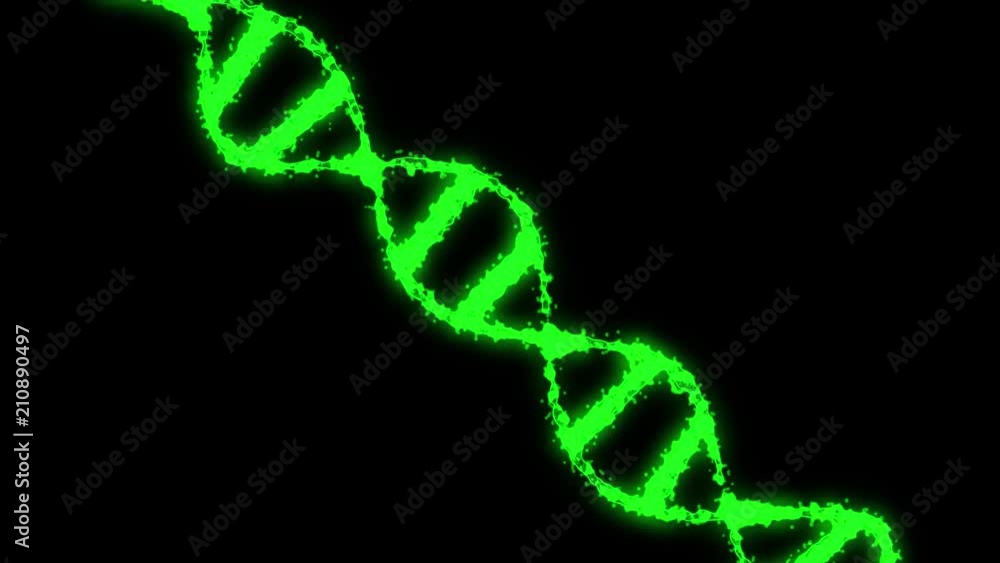 Digital Holographic Green DNA. Rotating DNA strands are assembled from individual elements. Genetic engineering scientific concept. The science footage. 4K Digital Holographic Green DNA. Rotating DNA strands are assembled from individual elements. Genetic engineering scientific concept. The science footage. 4K