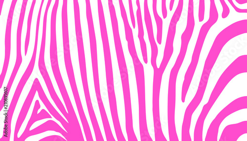 stripe animal jungle texture zebra vector pink white