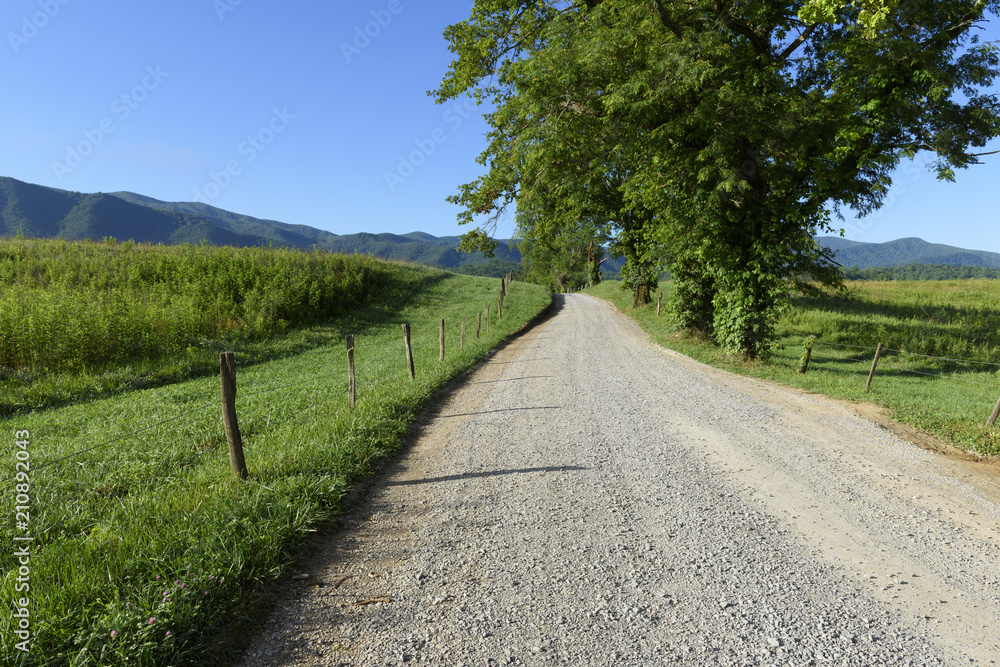 Gravel Road in Summer thru Meadow - Great Smoky Mountains