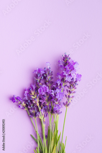 The lavender flowers.