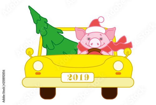 Pig in a hat and scarf in a yellow car lucky Christmas tree. Symbol of the new year in the Chinese calendar. 2019. Vector. Illustration for postcards, stickers, posters