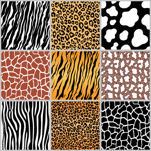 set safari jungle animal fur stripe animals bengal tiger giraffe zebra cow snake texture pattern seamless repeating white black orange brown