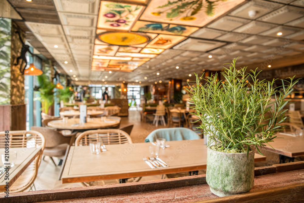 Fototapeta premium Restaurant with herb rosemary