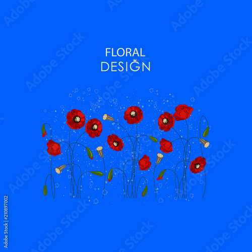 Fototapeta Naklejka Na Ścianę i Meble -  Field poppies on a blue background. Floral design. Design for a postcard, poster, message with space for text. Grunge.