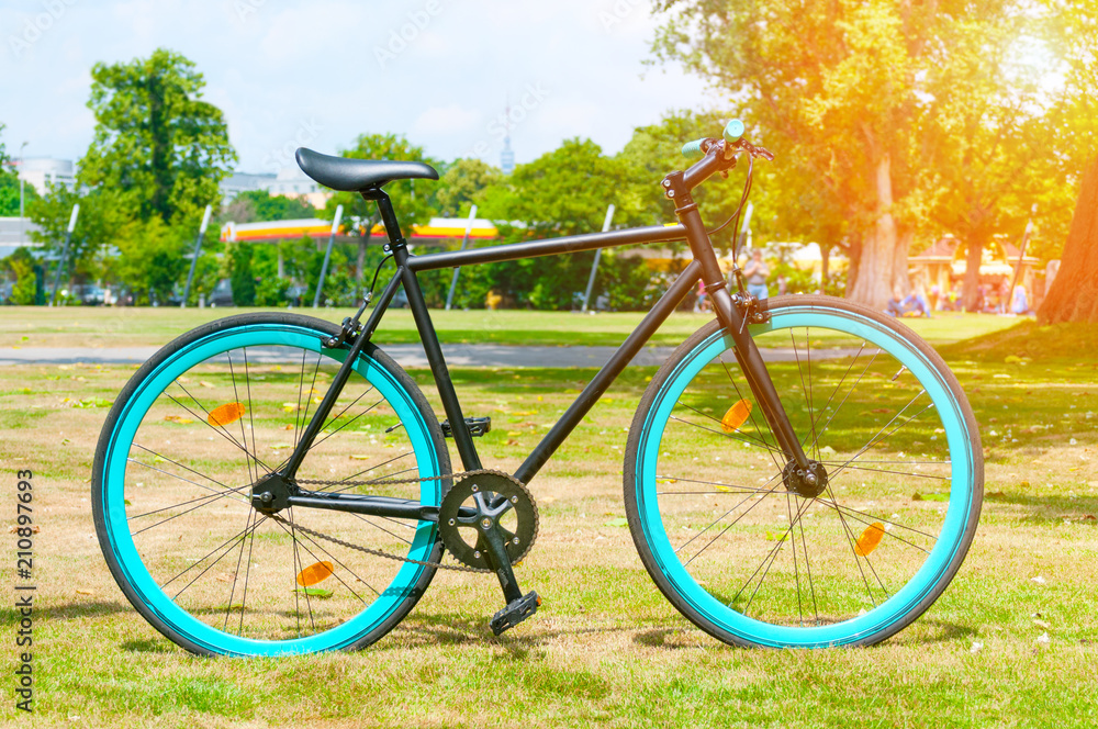 Bicycle in a summer park