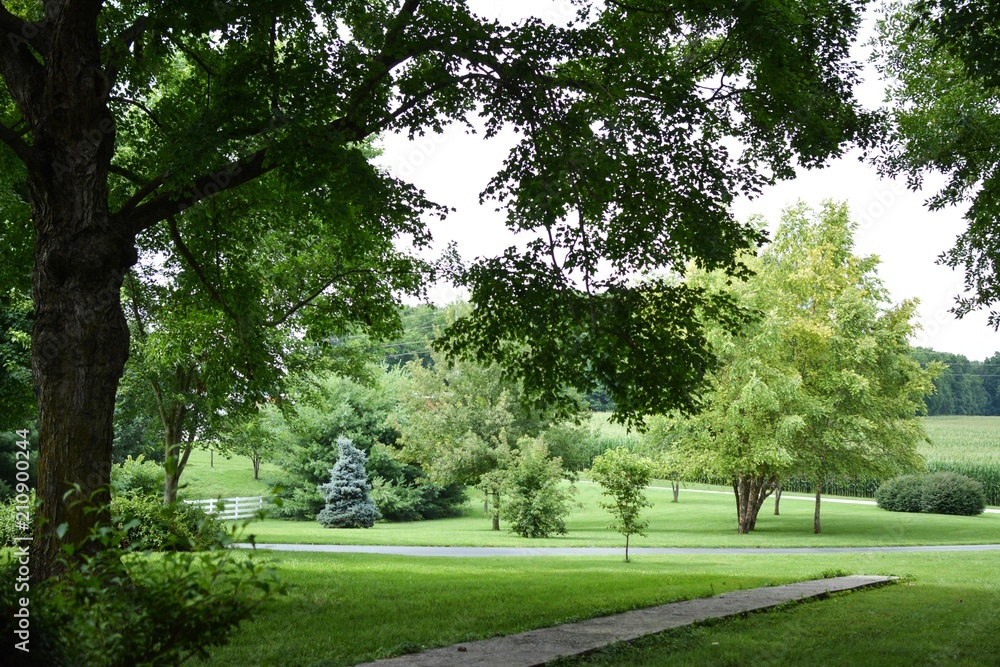 Front Lawn Front Lawn