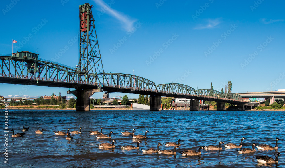 Fototapeta premium riverside