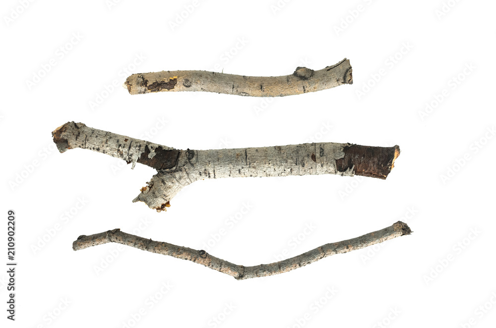 Dry tree branch isolated on white background. Dry tree branch isolated on white background.