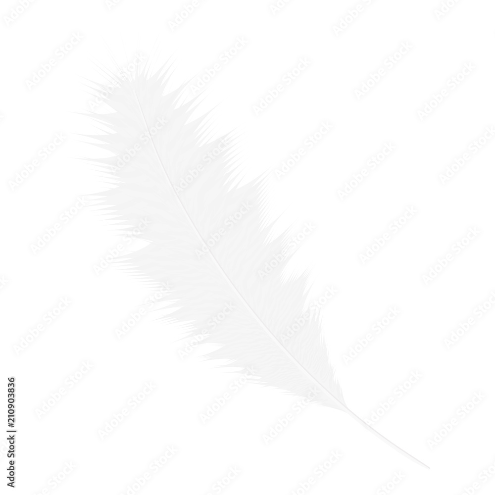 Realistic white bird feather.Vector illustration isolated on a white background. Realistic white bird feather.Vector illustration isolated on a white background.