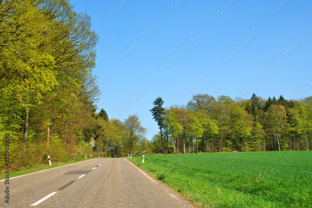 Fototapeta premium Landstrasse im Frühling im Hunsrück zwischen Wald und Wiese 