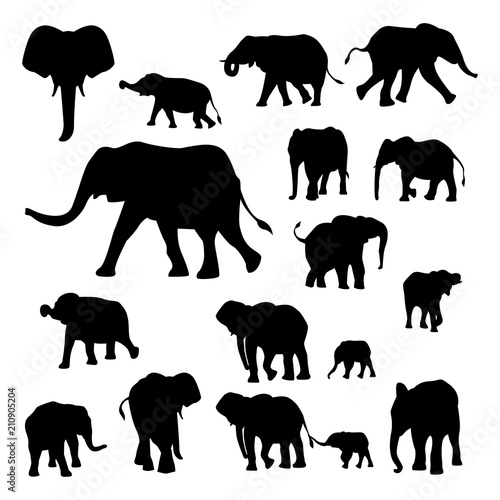 Elephant Silhouette in Various Poses and Movements