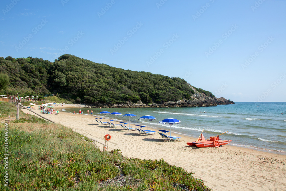 Fototapeta premium Beach