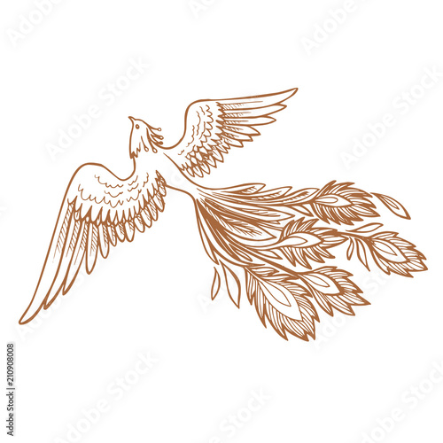 Phoenix Fire bird illustration and character design.Hand drawn Phoenix tattoo Japanese and Chinese style,Legend of the Firebird is Russian fairy tales and it is creature from Slavic folklore