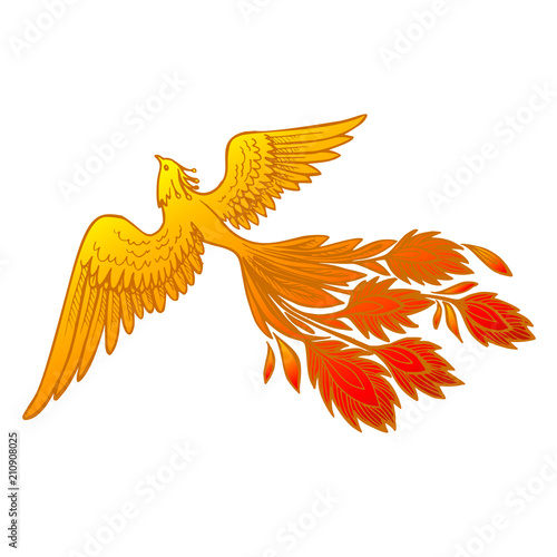 Phoenix Fire bird illustration and character design.Hand drawn Phoenix tattoo Japanese and Chinese style,Legend of the Firebird is Russian fairy tales and it is creature from Slavic folklore