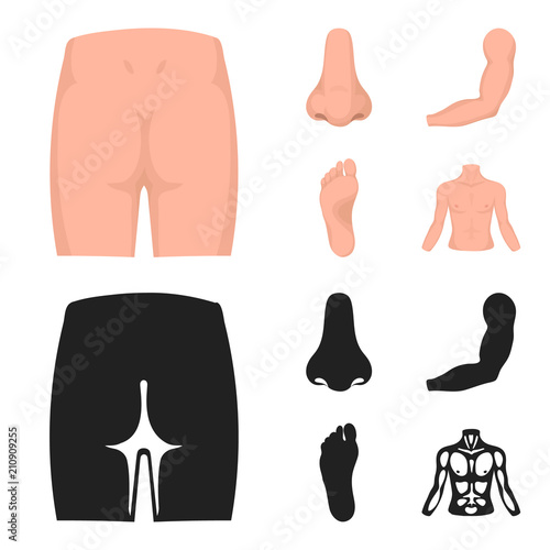 Buttocks, nose, arm, foot. Part of the body set collection icons in cartoon,black style vector symbol stock illustration web.