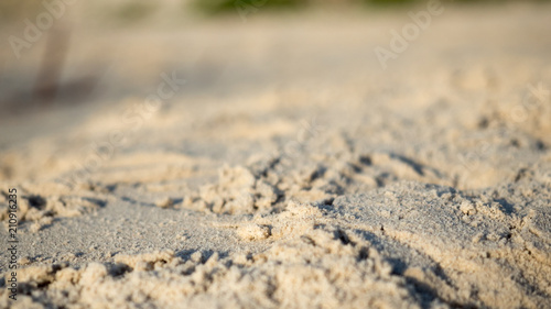 Sand beach close up