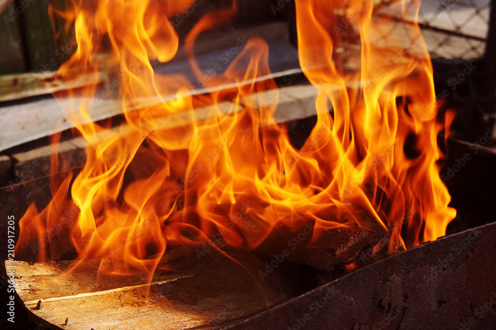 Fototapeta premium fire brazier on nature bones fry meat vegetables cook