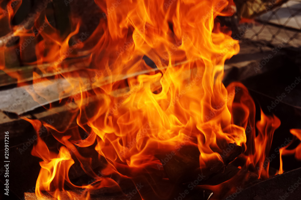 fire brazier on nature bones fry meat vegetables cook fire brazier on nature bones fry meat vegetables cook